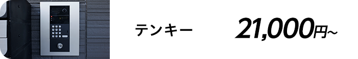 テンキー 21,000円～